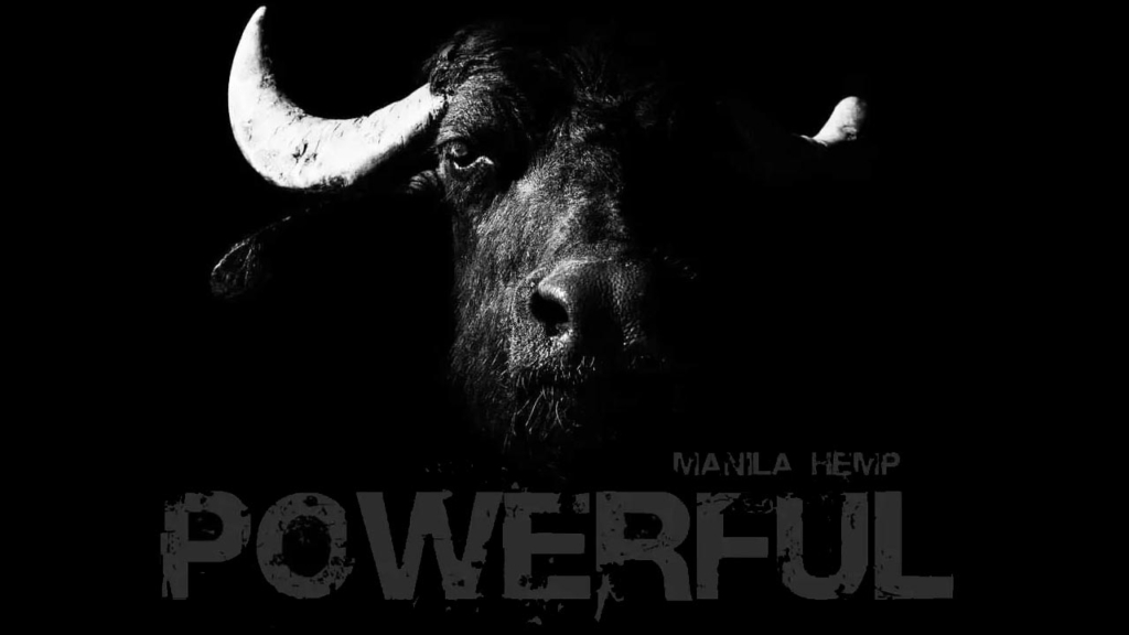 Manila Hemp - copertina dell'album Powerful
